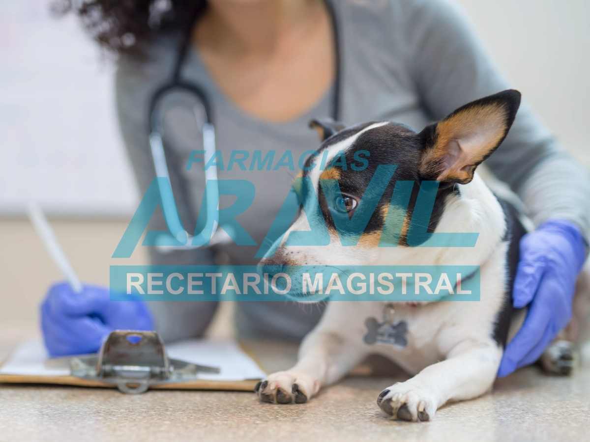 recetario magistral veterinario 9